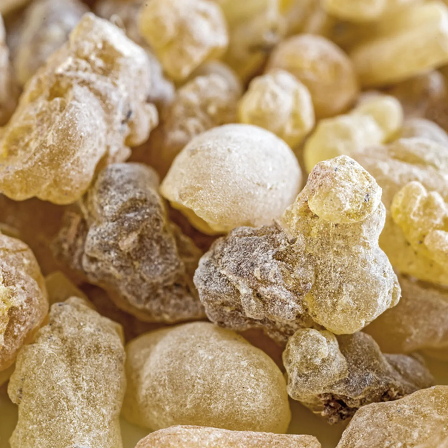 COOHÉ Frankincense eterisk olja 5 ml balsamisk