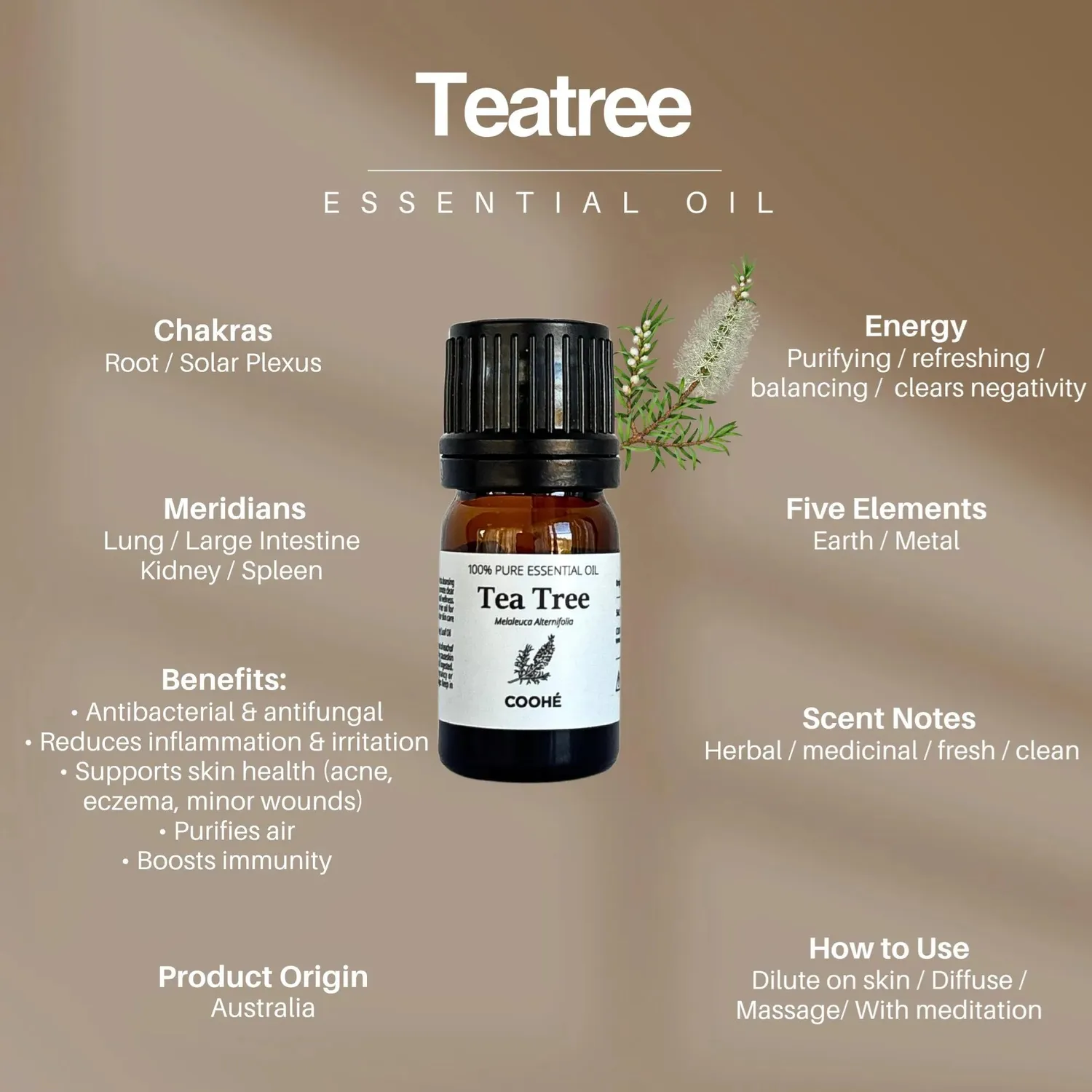COOHÉ Tea Tree eterisk olja 5 ml 100% ren