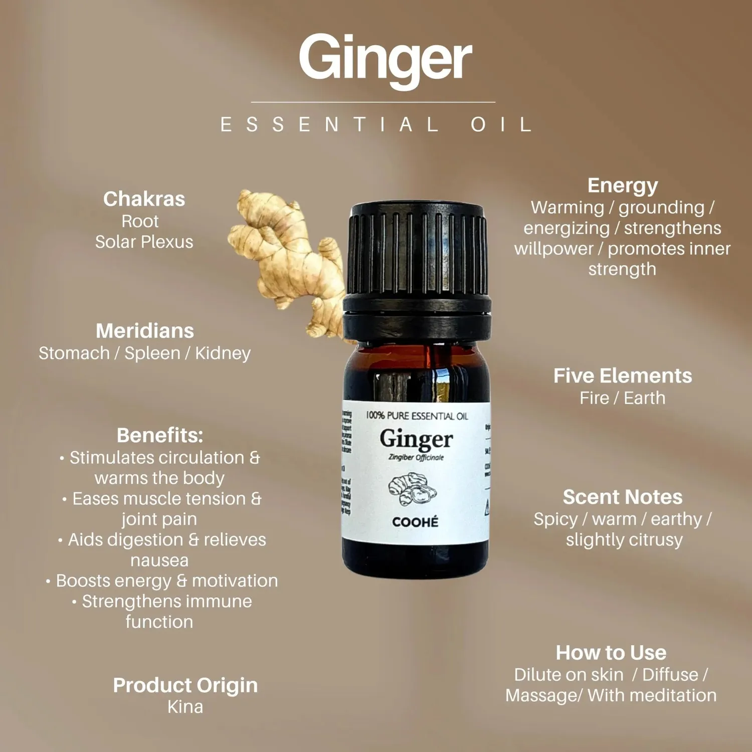 COOHÉ Ginger eterisk olja 5 ml värmande