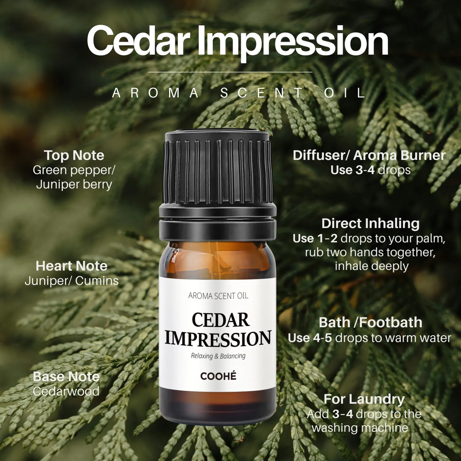 COOHÉ Cedar Impression doftolja 5 ml cederträ