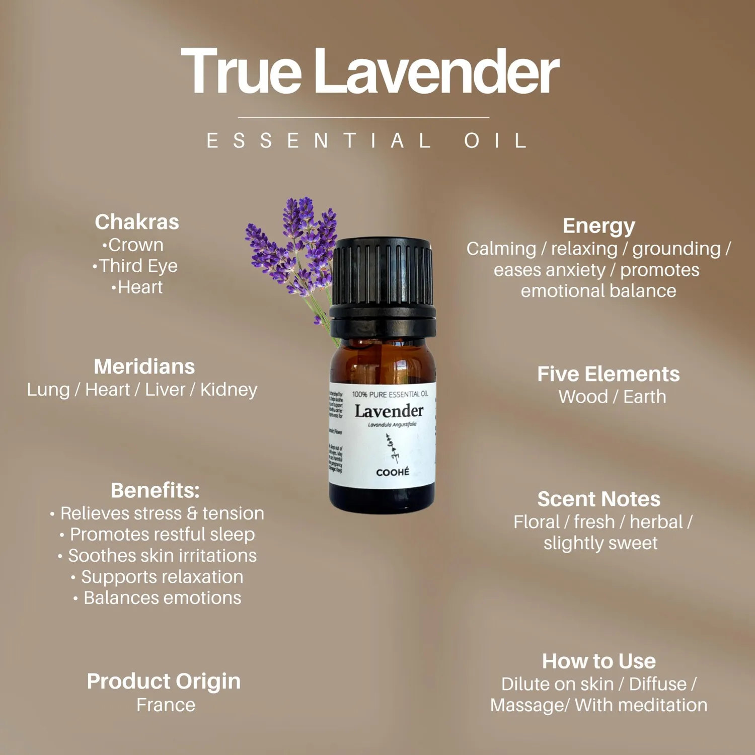 COOHÉ Lavender True eterisk olja 5 ml avslappnande