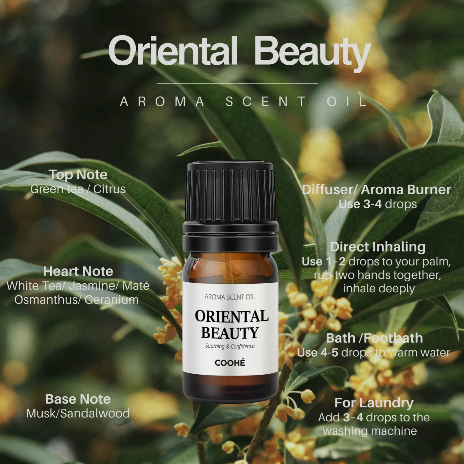 COOHÉ Oriental Beauty doftolja 5 ml osmanthus