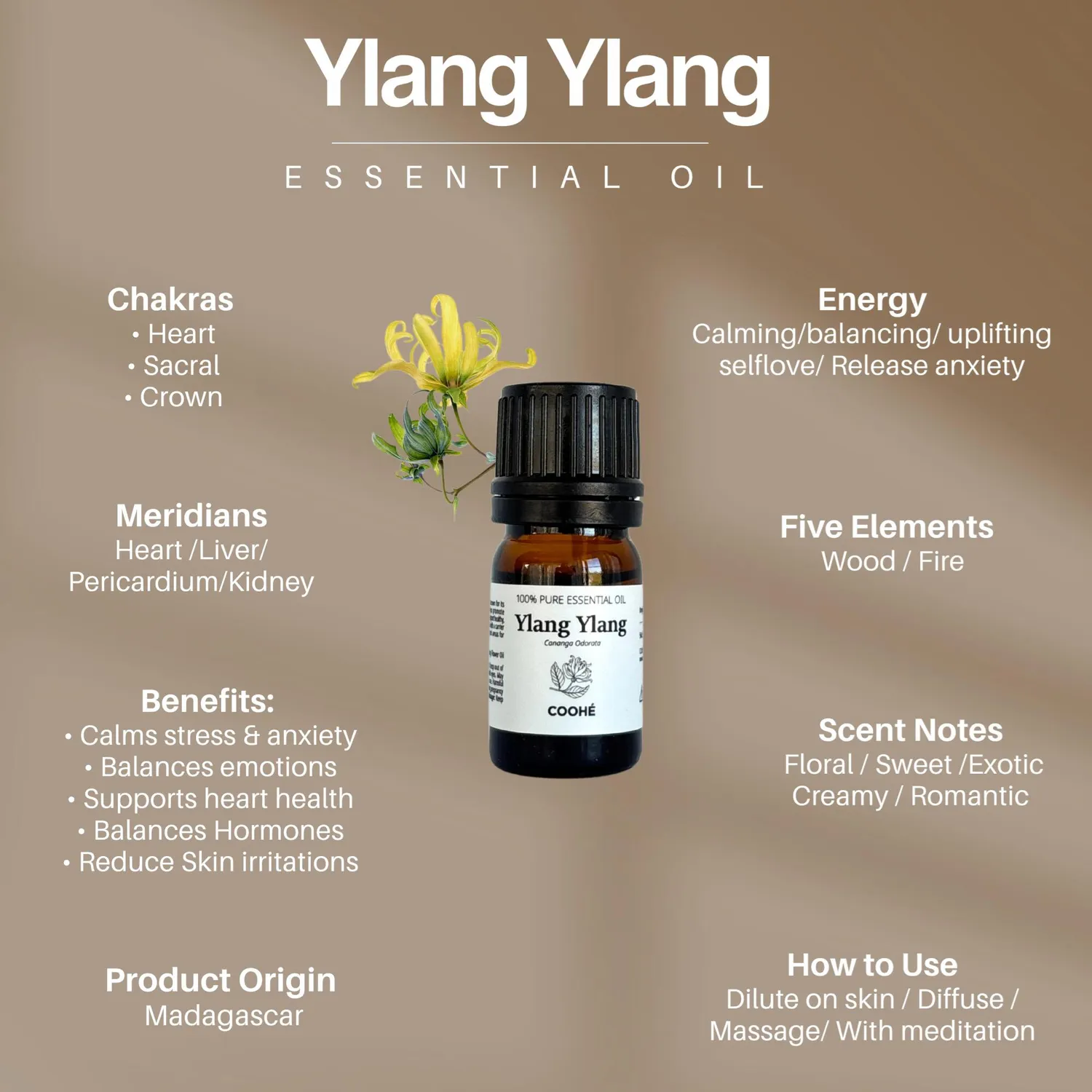 COOHÉ Ylang Ylang eterisk olja 5 ml 100% ren