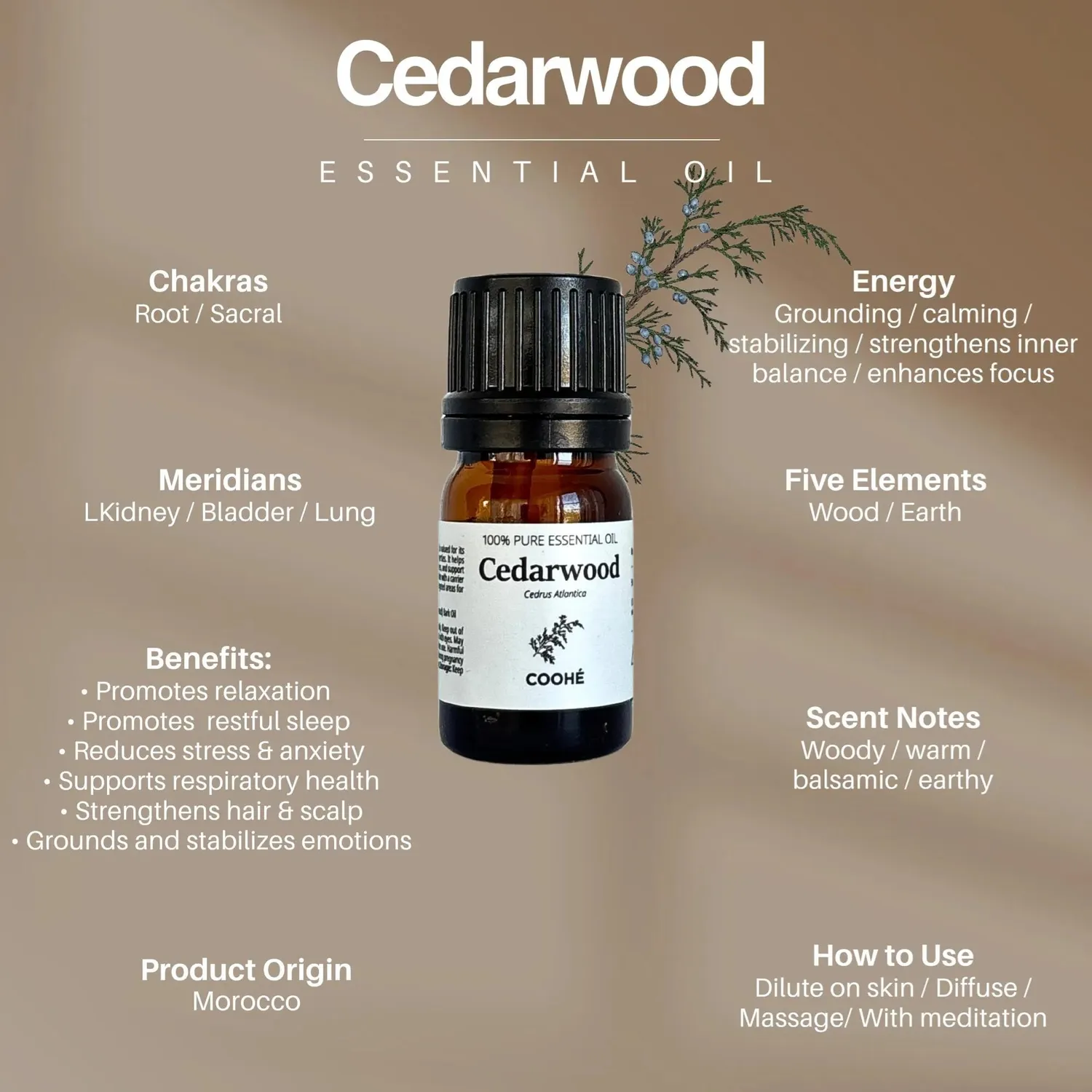 COOHÉ Cedarwood eterisk olja 5 ml cederträ
