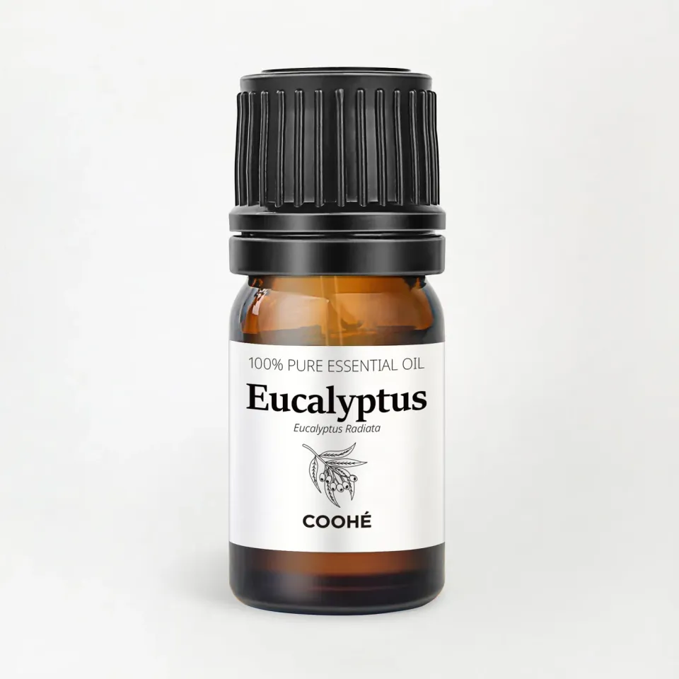 COOHÉ Eucalyptus eterisk olja ren 5 ml