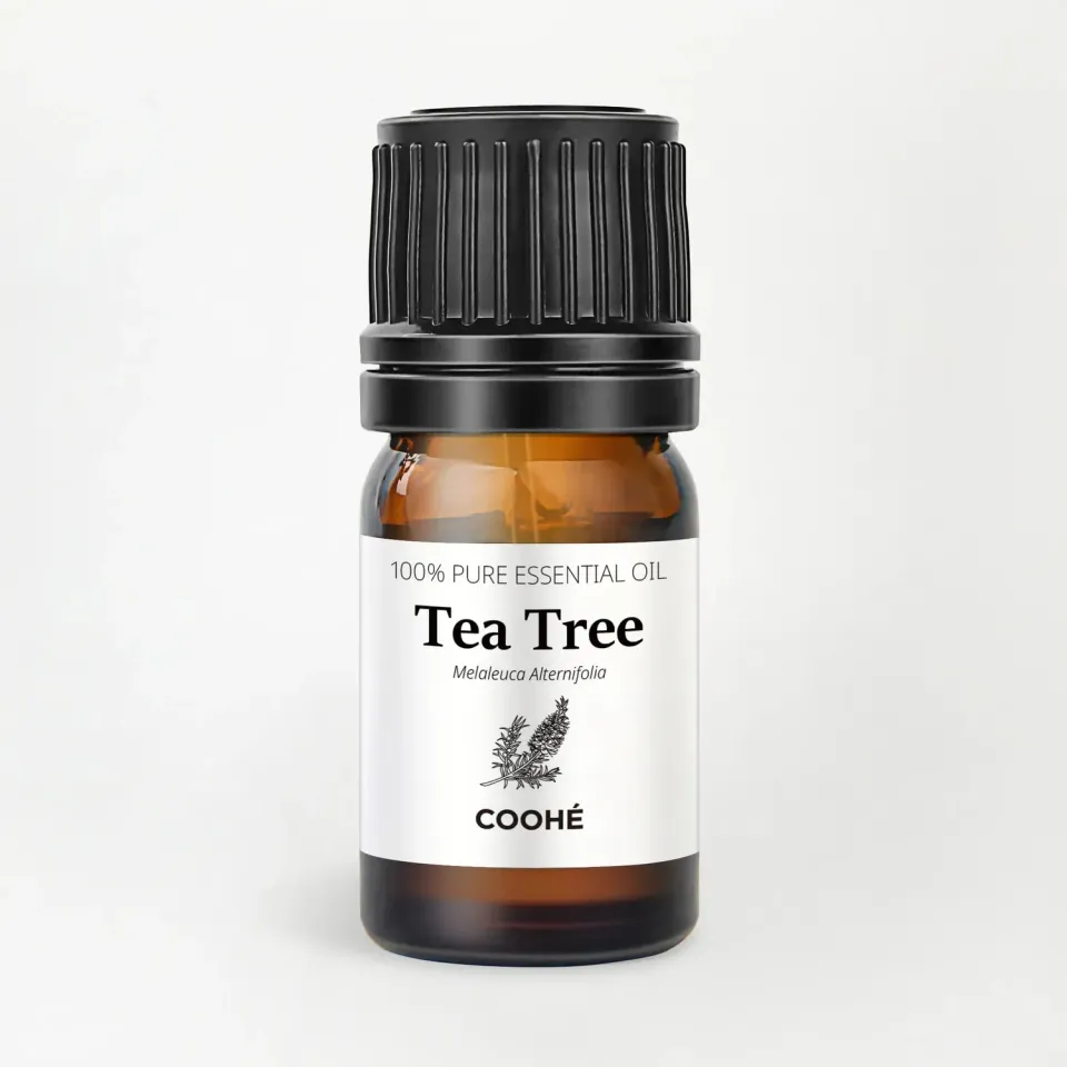 COOHÉ Tea Tree eterisk olja 5 ml 100% ren