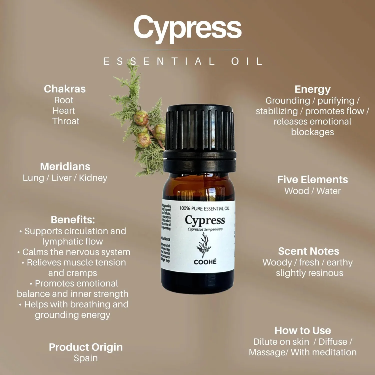 COOHÉ Cypress eterisk olja 5 ml frisk barr