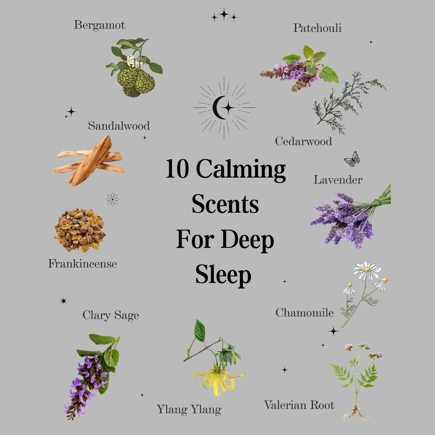 COOHÉ 24 Essential Oils eterisk olja ren