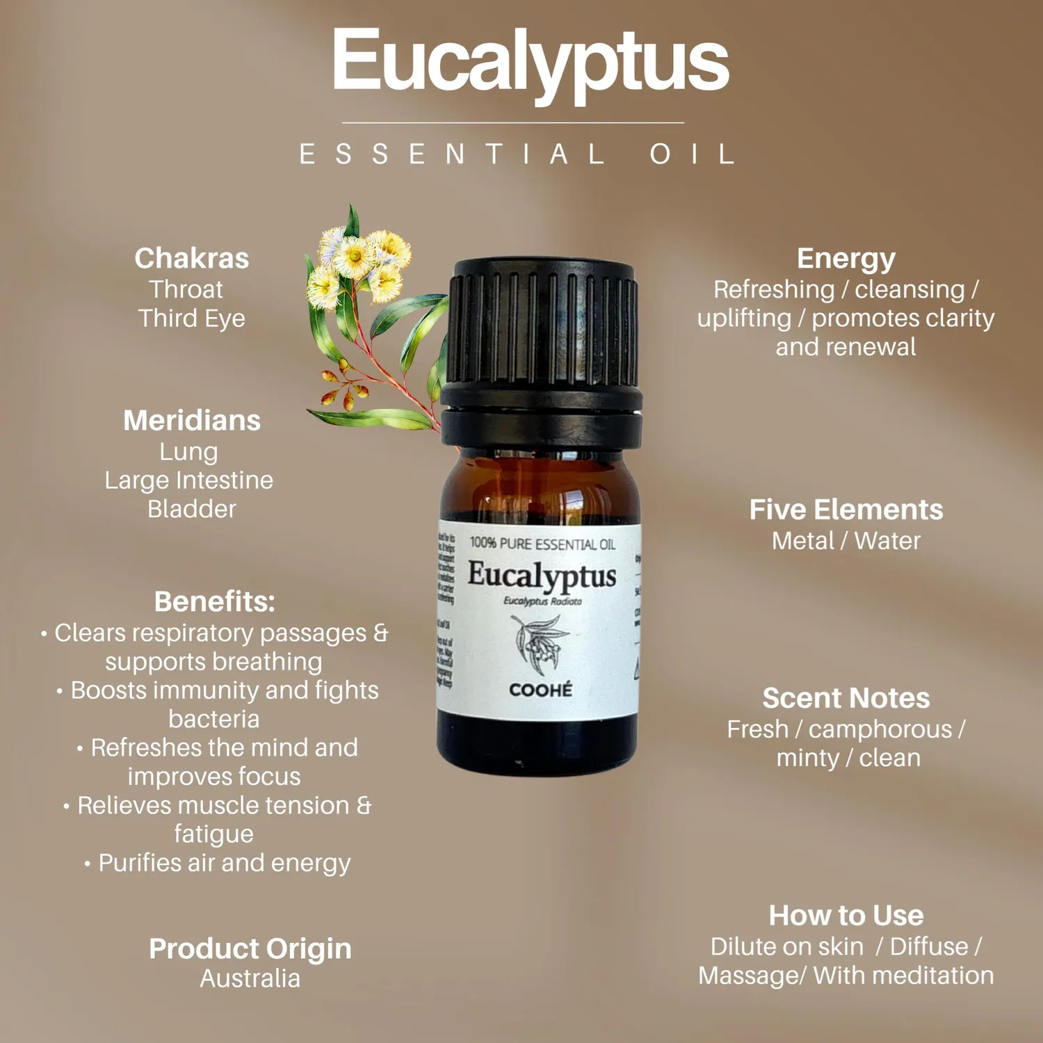COOHÉ Eucalyptus eterisk olja ren 5 ml