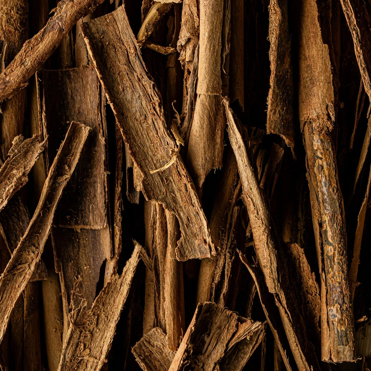 COOHÉ Cinnamon Essential Oil eterisk olja 5 ml