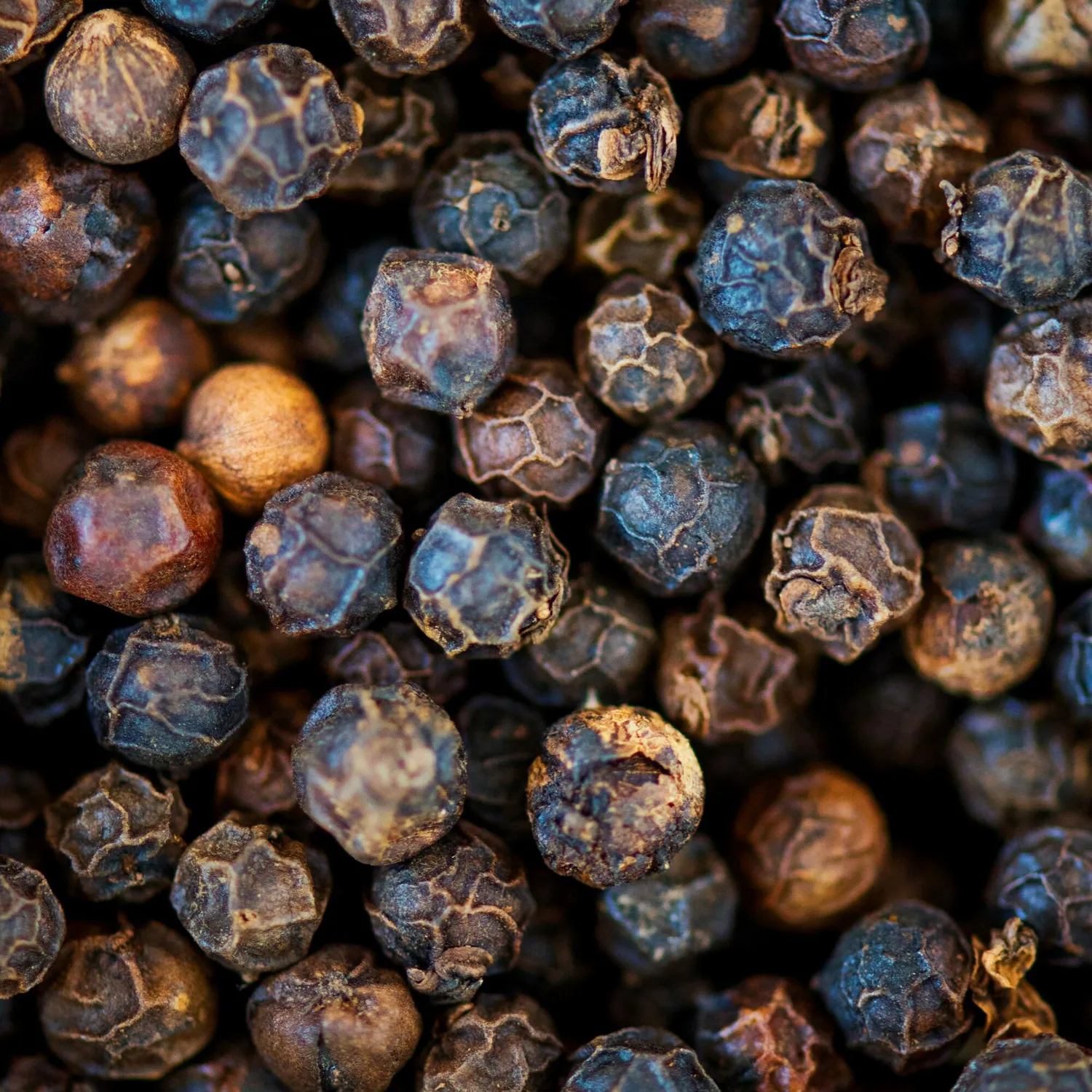 COOHÉ Black Pepper eterisk olja 5 ml kryddig